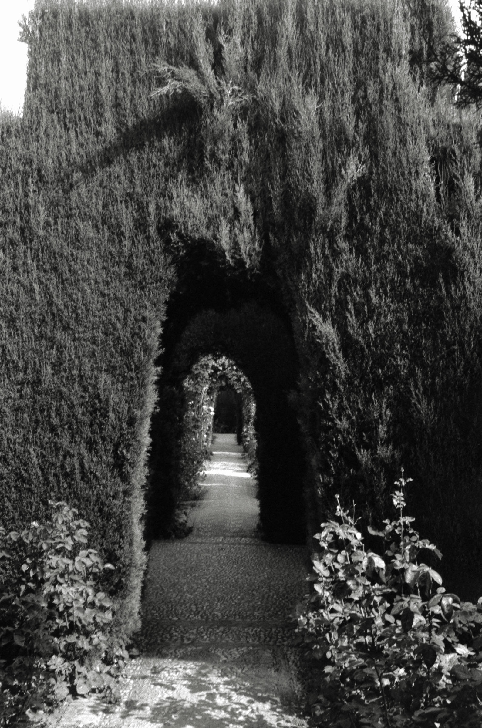 AHP F2001 07 002 sc240901 img02 NLP